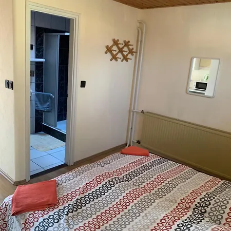 Gold Ribbon Family House Affittacamere 3*