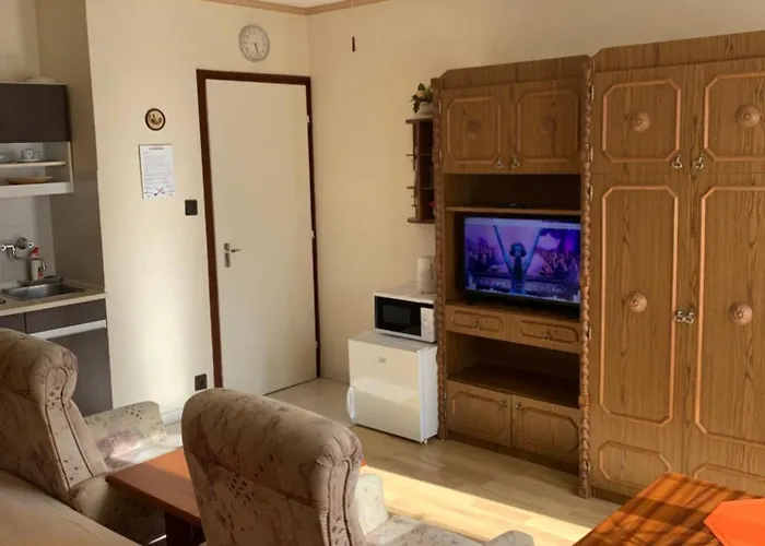 Πανσιόν Gold Ribbon Family House 3*